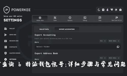 如何查询 b 特派钱包帐号：详细步骤与常见问题解答
