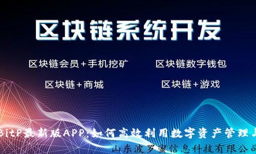 全面解析BitP最新版APP：如何高效利用数字资产管理与交易平台
