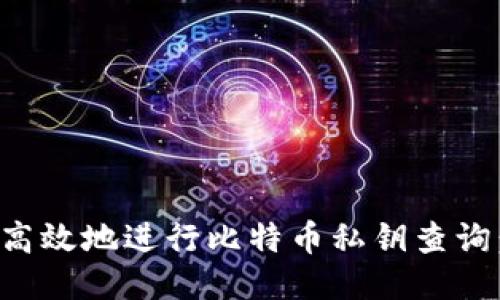 如何安全高效地进行比特币私钥查询：终极指南