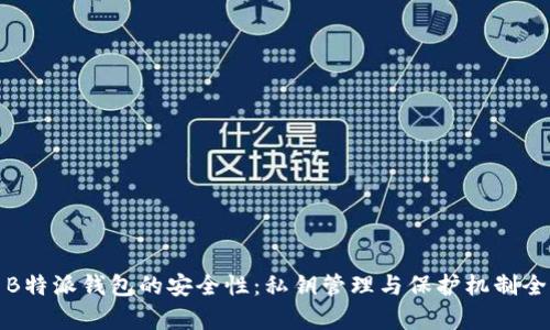 探索B特派钱包的安全性：私钥管理与保护机制全解析
