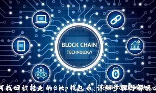 
如何找回被转走的Bitp钱包币：详细步骤与解决方案