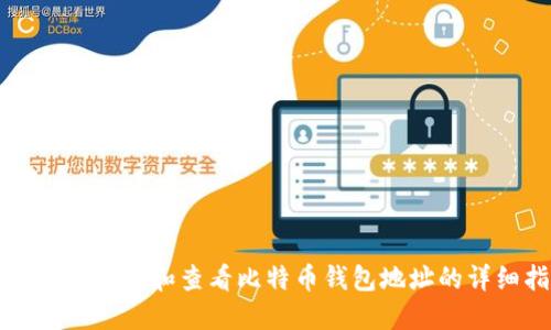 如何快速识别和查看比特币钱包地址的详细指南