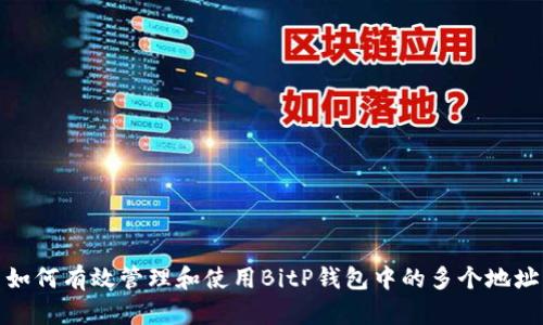 如何有效管理和使用BitP钱包中的多个地址