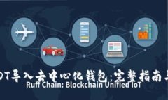 如何将USDT导入去中心化钱包：完整指南与实用技