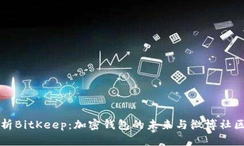 深入解析BitKeep:加密钱包的未来与微博社区的交汇