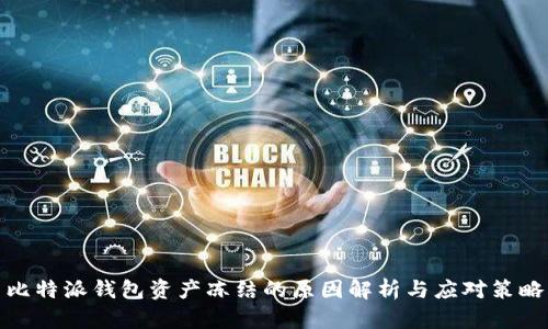 比特派钱包资产冻结的原因解析与应对策略