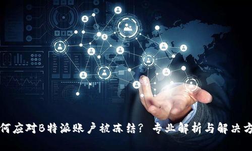 如何应对B特派账户被冻结? 专业解析与解决方案