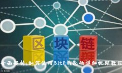 全面解析：如何使用BitP钱包的详细视