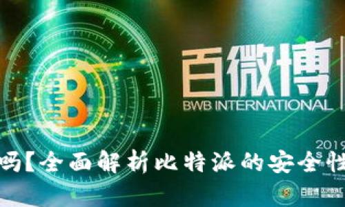 比特派安全吗?全面解析比特派的安全性与盗刷风险