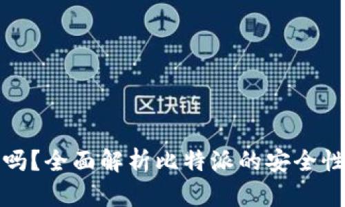 比特派安全吗?全面解析比特派的安全性与盗刷风险