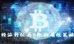 全面解析：B特派升级为B级的有效策略与前景展望