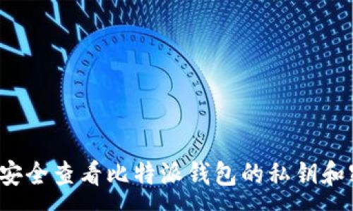 :
如何安全查看比特派钱包的私钥和密码?