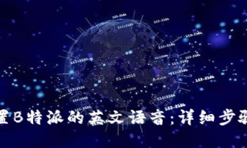 如何设置B特派的英文语音:详细步骤与技巧
