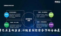 中巴关系的未来：从政策到经济合作的全面展望