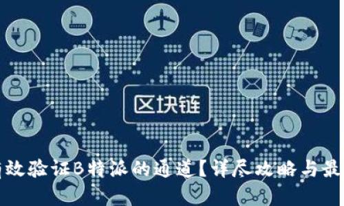 如何有效验证B特派的通道?详尽攻略与最佳实践