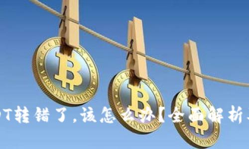TP钱包USDT转错了,该怎么办?全面解析及解决方案