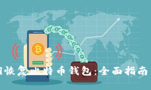 如何用私钥恢复比特币钱包:全面指南与实用技巧