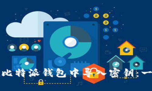 如何安全地在比特派钱包中导入密钥:一步步详细指南
