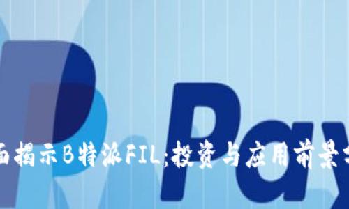 全面揭示B特派FIL:投资与应用前景分析