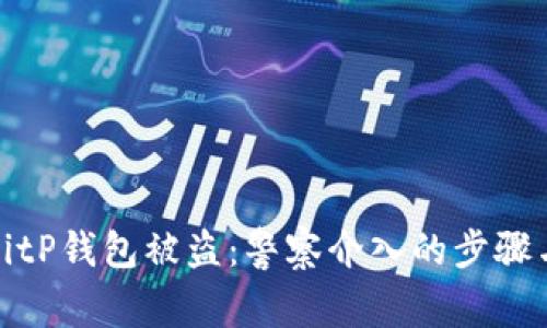 如何应对BitP钱包被盗:警察介入的步骤与处理方案