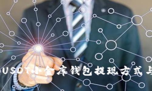全面解析:USDT小金库钱包提现方式与注意事项