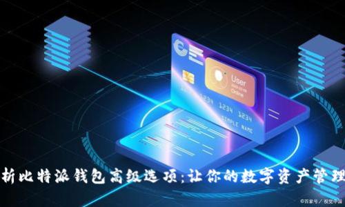 全面解析比特派钱包高级选项:让你的数字资产管理更高效