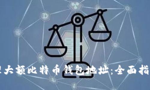 如何安全管理大额比特币钱包地址:全面指南与最佳实践