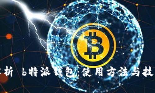全面解析 b特派钱包:使用方法与技巧图解