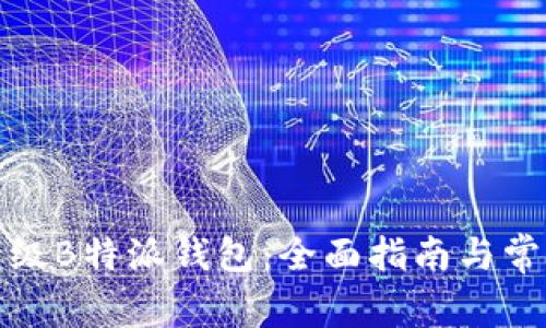 如何顺利升级B特派钱包:全面指南与常见问题解答