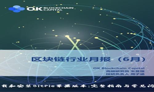 如何下载和安装BitPie苹果版本:完整指南与常见问题解答