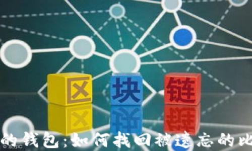 丢失一年的钱包:如何找回被遗忘的比特币资产
