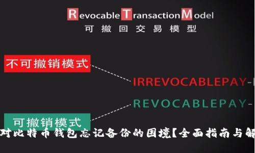 如何应对比特币钱包忘记备份的困境?全面指南与解决方案
