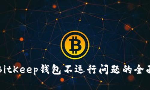 解决BitKeep钱包不运行问题的全面指南