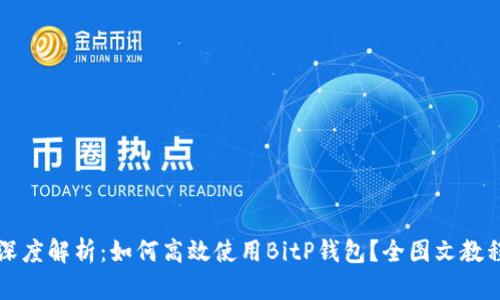 深度解析:如何高效使用BitP钱包?全图文教程