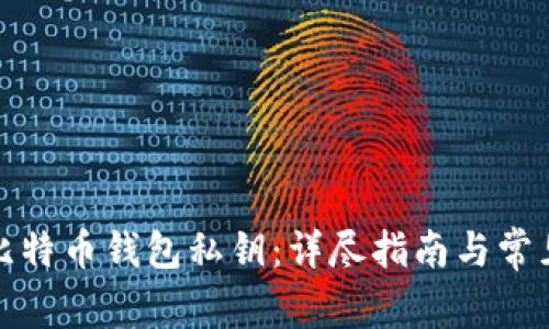 如何找回比特币钱包私钥:详尽指南与常见问题解答
