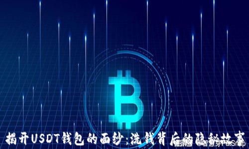 揭开USDT钱包的面纱:洗钱背后的隐秘故事