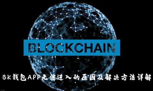 BK钱包APP无法进入的原因及解决方法详解