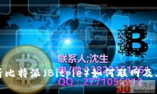 全面解析比特派(Bitpie)如何联网及其重要性