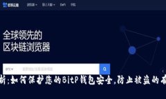 全面解析：如何保护您的BitP钱包安全