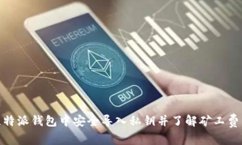 如何在比特派钱包中安全导入私钥并了解矿工费用的影响