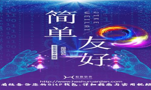 如何有效备份您的BitP钱包:详细指南与实用视频教程