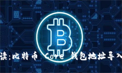 全面解读:比特币 Core 钱包地址导入全指南