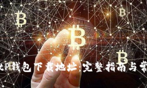 如何修改BitP钱包下载地址:完整指南与常见问题解答