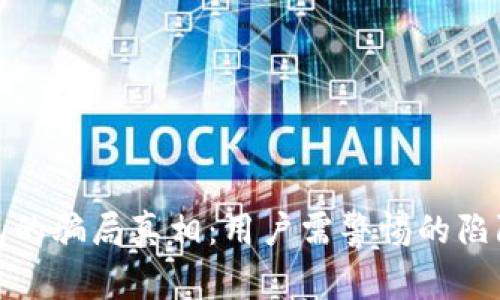 揭秘BitP钱包的骗局真相:用户需警惕的陷阱与实用建议