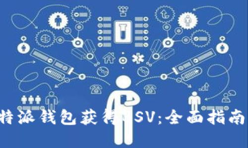 如何利用B特派钱包获得BSV:全面指南与实用技巧
