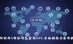 如何利用B特派钱包获得BSV：全面指南