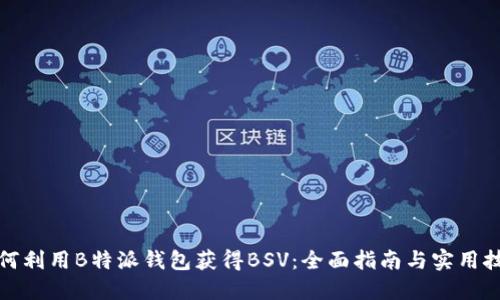 如何利用B特派钱包获得BSV:全面指南与实用技巧