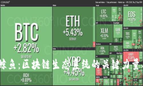 探索Web3鲸鱼:区块链生态系统的关键力量与投资机遇