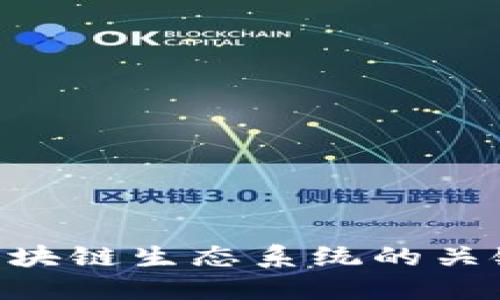 探索Web3鲸鱼:区块链生态系统的关键力量与投资机遇