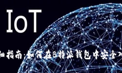 详细指南:如何在B特派钱包中安全入金